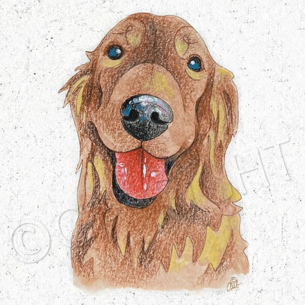 Pups & Portraits Watercolor Book